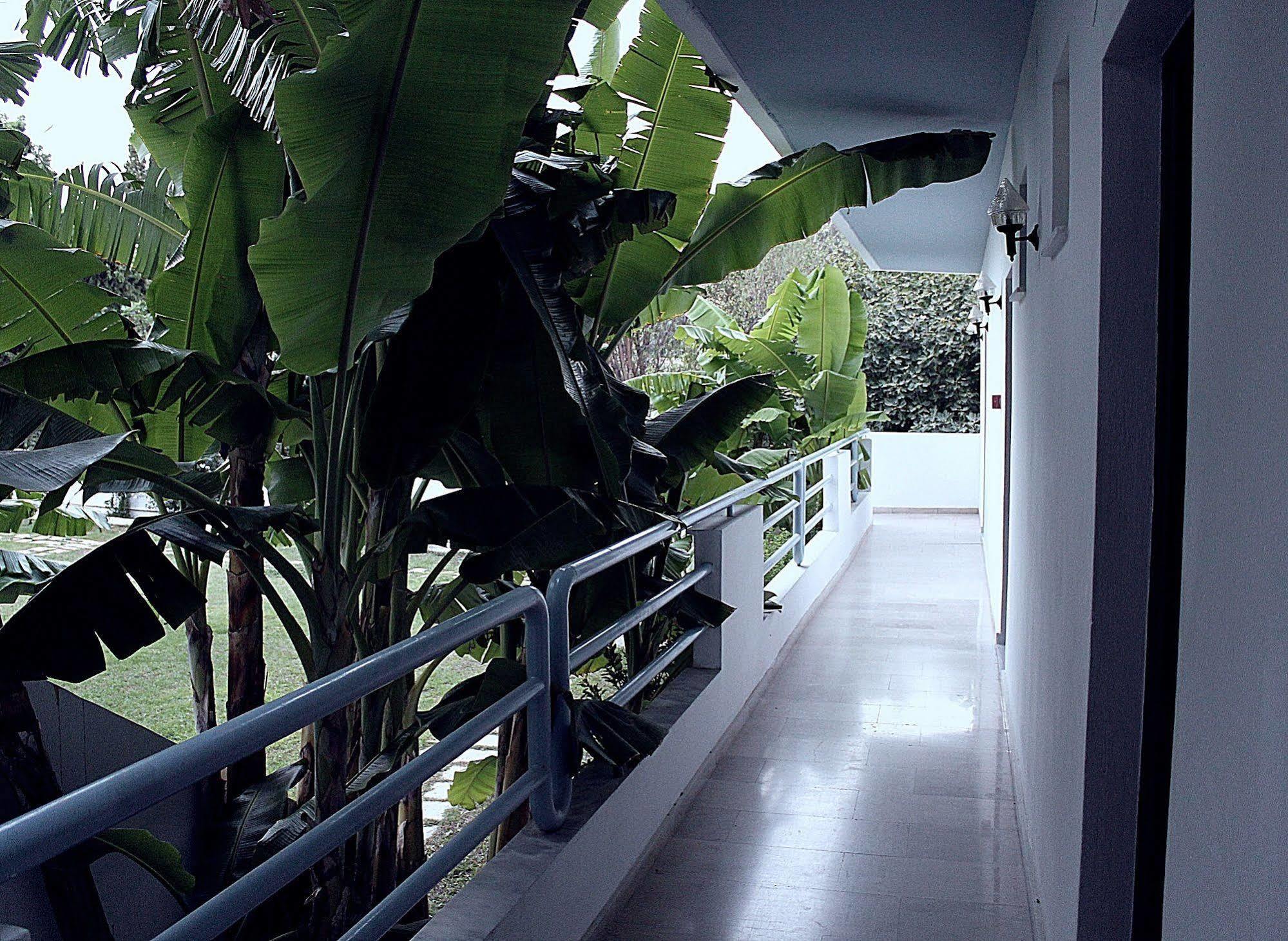 Elga Hotel & Apartments Kardamena  Extérieur photo